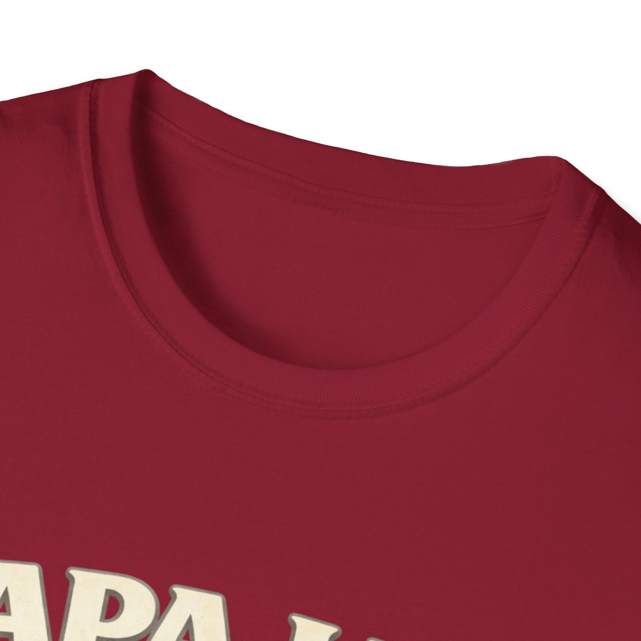Papa Life T-Shirt — "Spoil Them & Send Them Home" Grandfather Gift